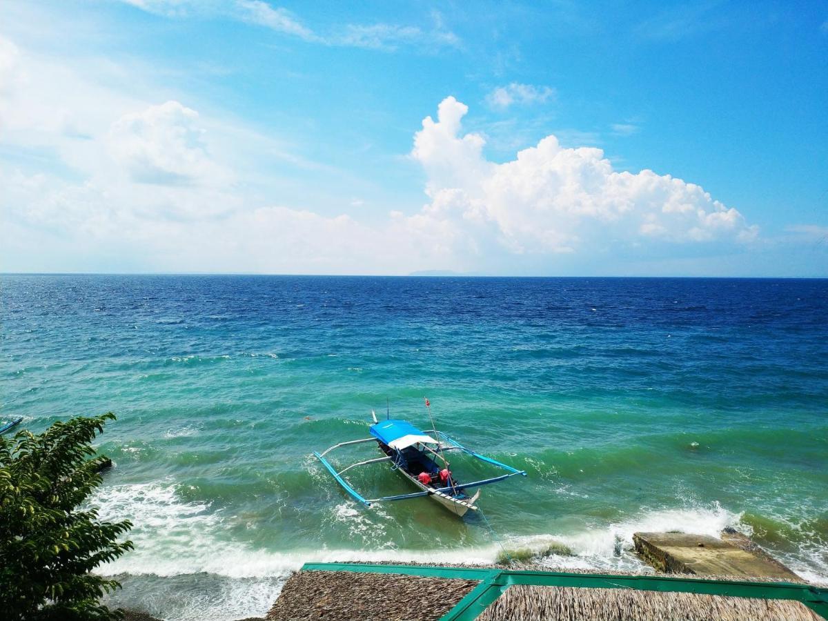 Blue Ribbon Dive Resort Mabini  Zewnętrze zdjęcie